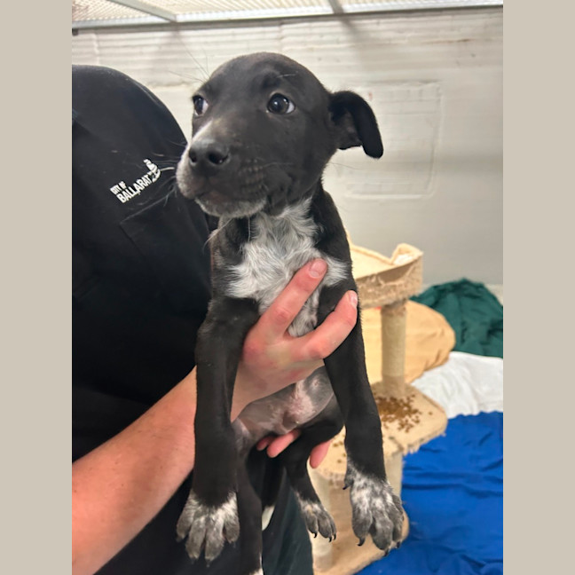 Photo of Quarter Past