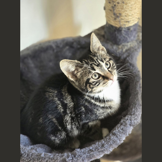 Photo of Pipsqueak