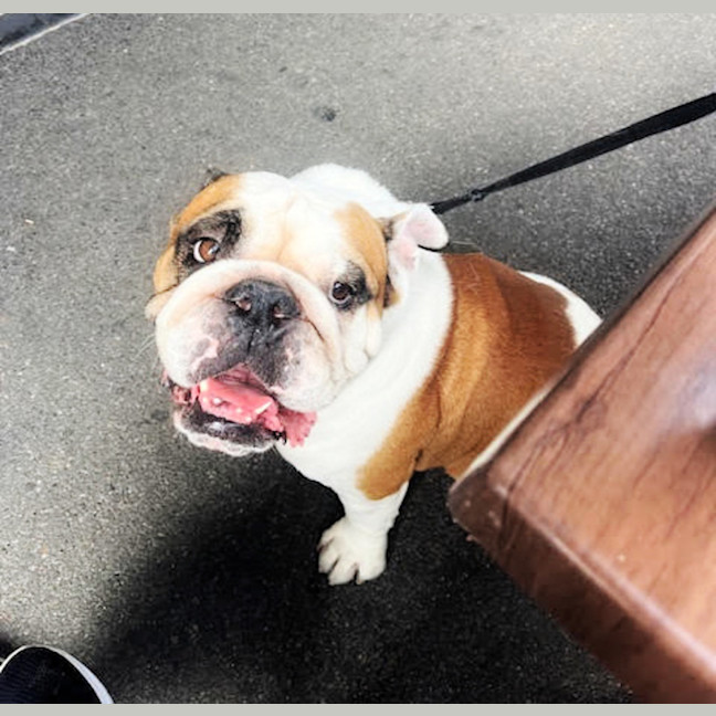 Photo of 👅Gordito👅