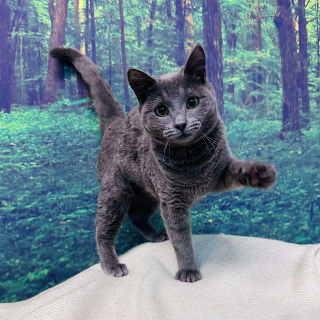 Photo of Travis   Located In Preston