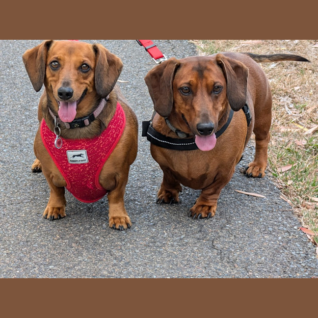 Photo of Harry / Sally