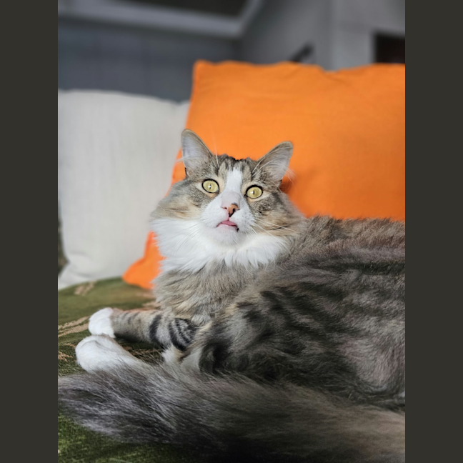 Photo of Ghost