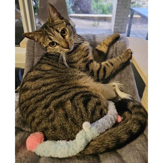 Photo of 11654   Presley 