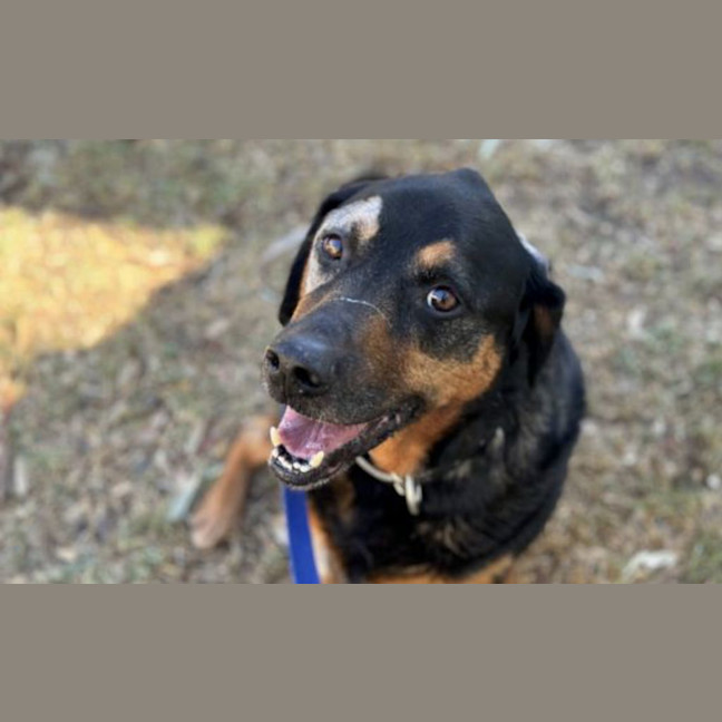 Photo of Chase