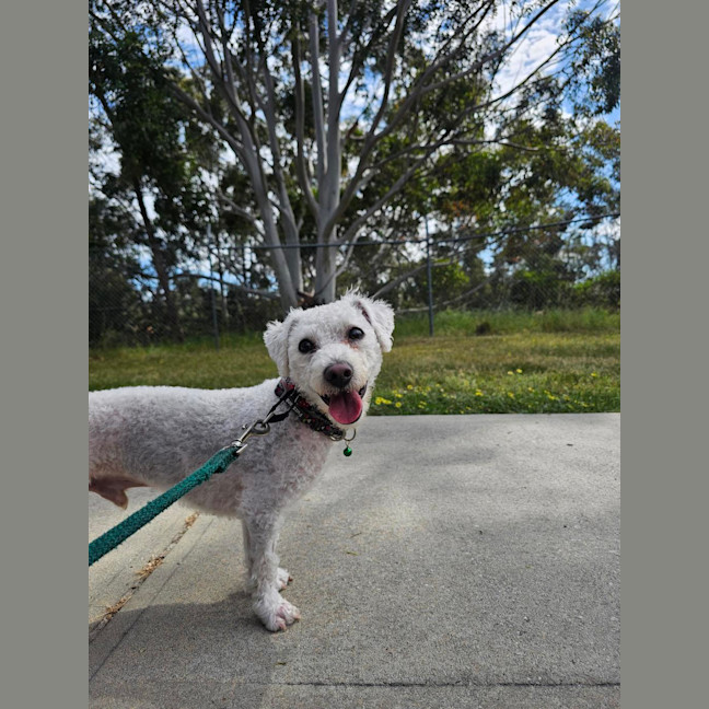 Photo of Fern