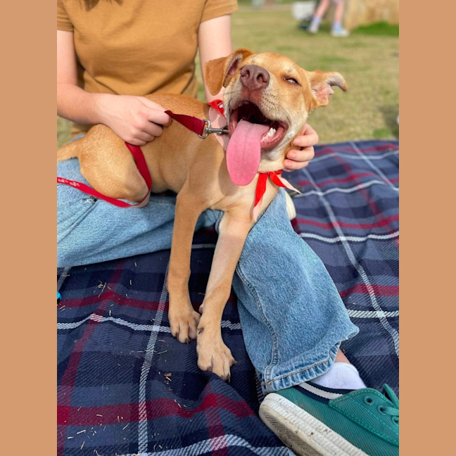 Photo of Ranger