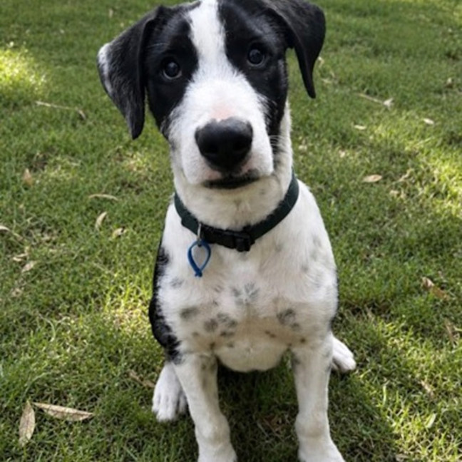 Photo of Thor