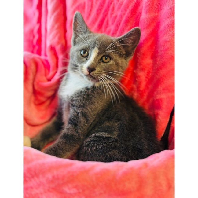 Photo of 13204   Ellie