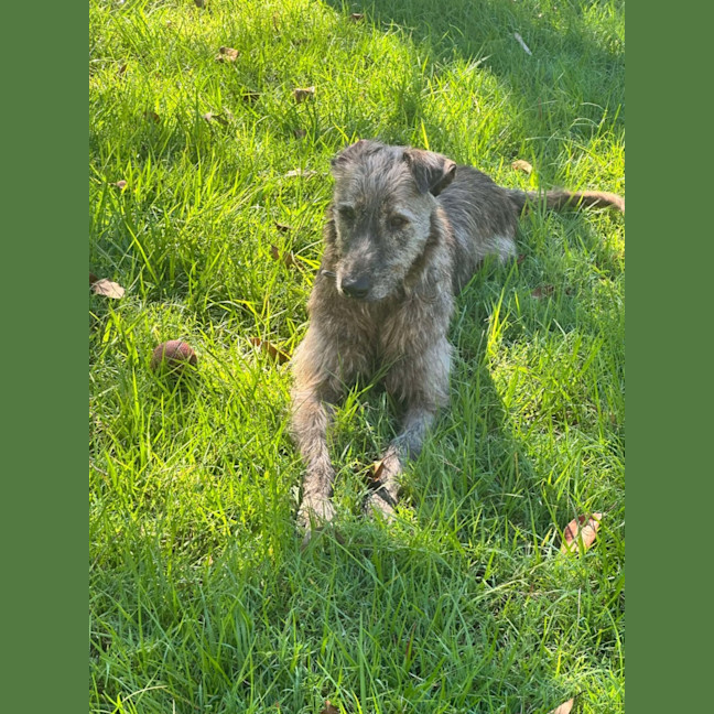 Photo of Coco & Rome 