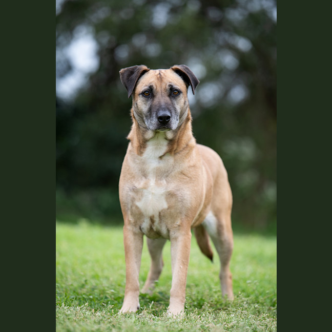 Photo of Margo