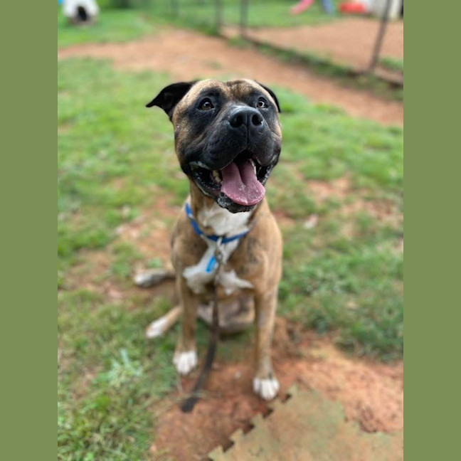Photo of Odin