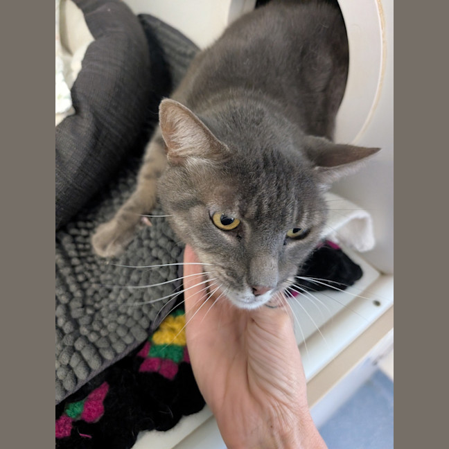 Photo of Ben 