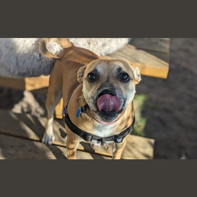 Photo of Polly