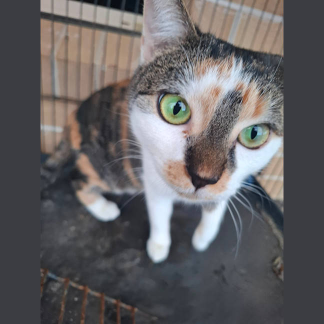 Photo of Hazel