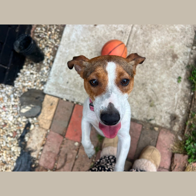 Photo of Miss Odie