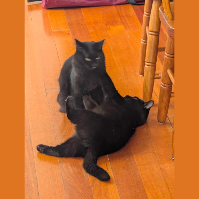 Photo of Thunder And Storm