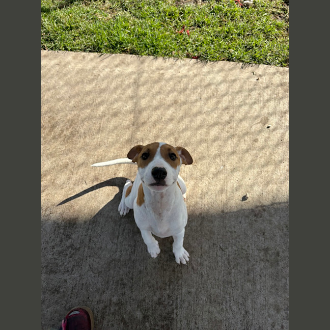Photo of Bonnie