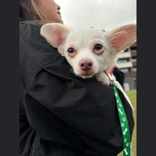 Photo of Tofu 