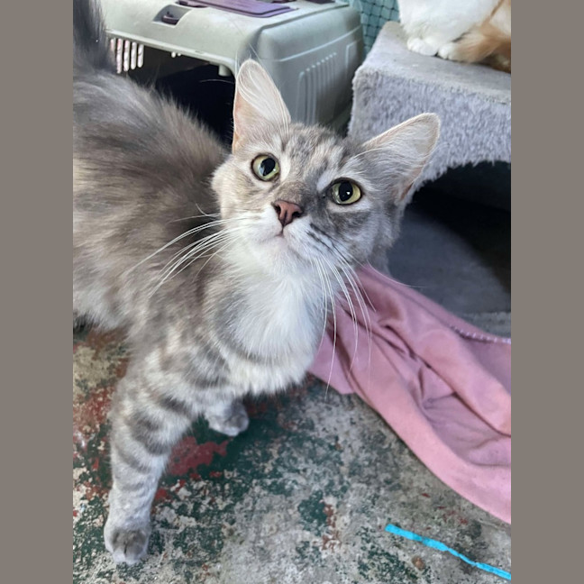 Photo of Tutu