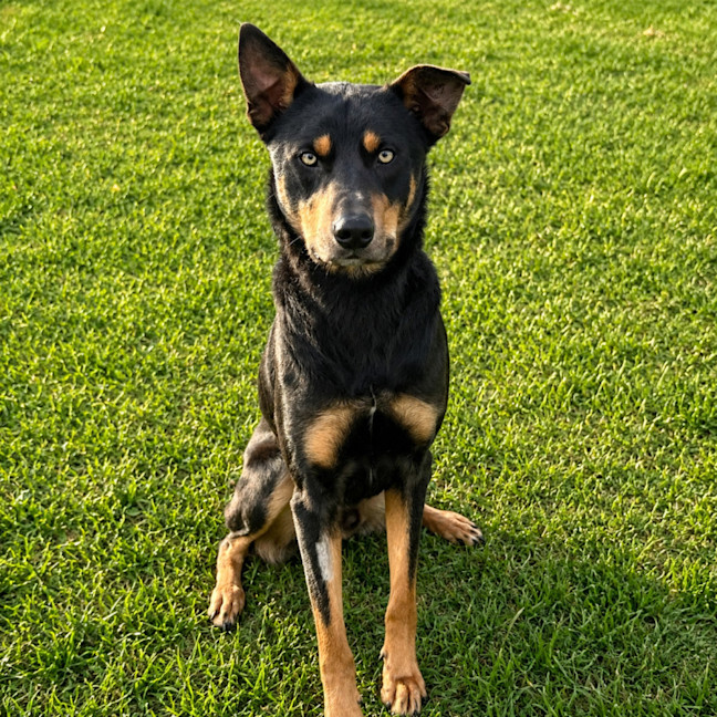 Photo of Lance