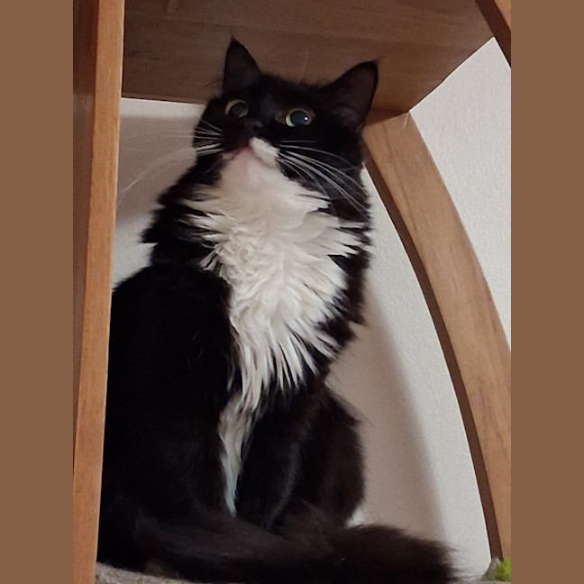 Photo of Fergus & Dorrie