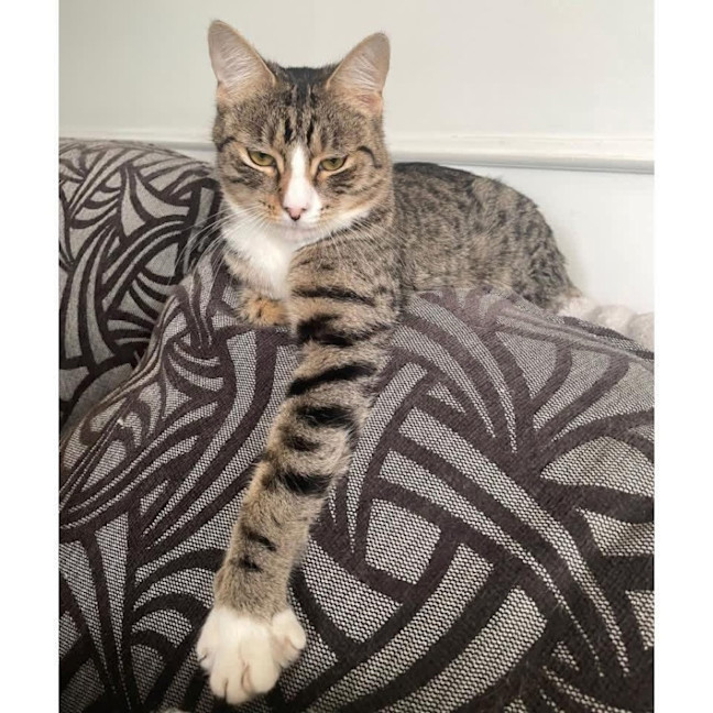 Photo of 14136   Lenny