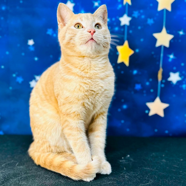 Photo of Russ (Located In Preston) 