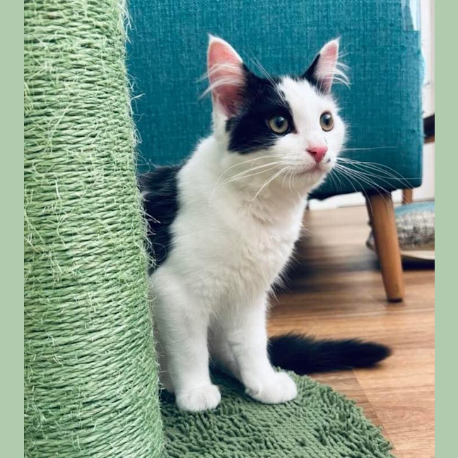 Photo of Acorn & Macadamia 