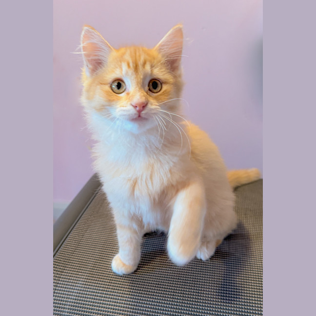 Photo of Arya