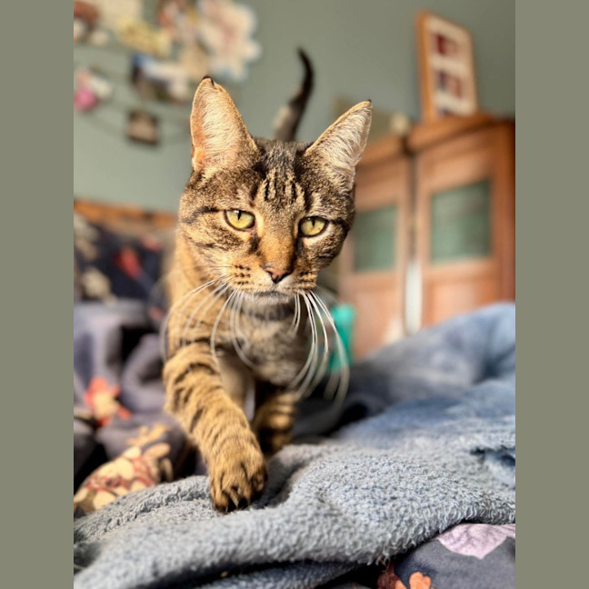 Photo of Ricky