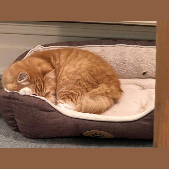 Photo of Griffin Nightingale