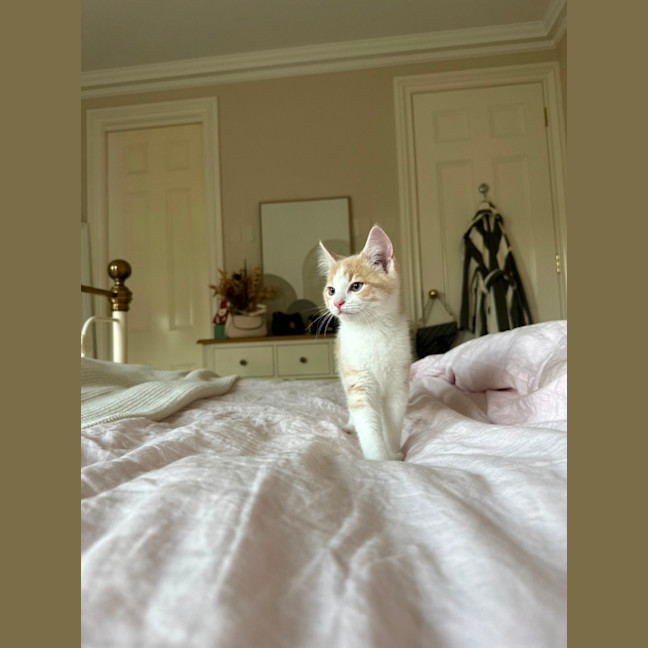 Photo of Moe