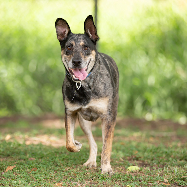 Photo of Max