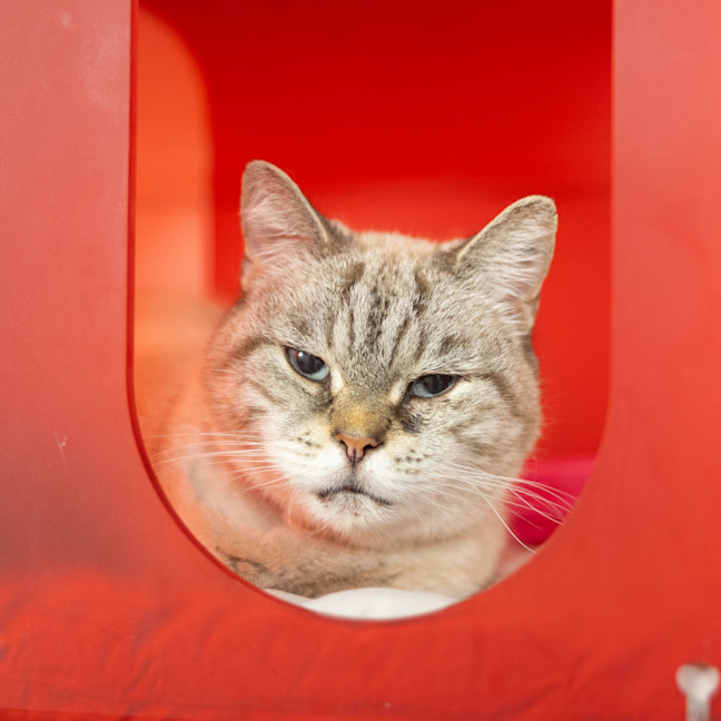 Photo of Molly