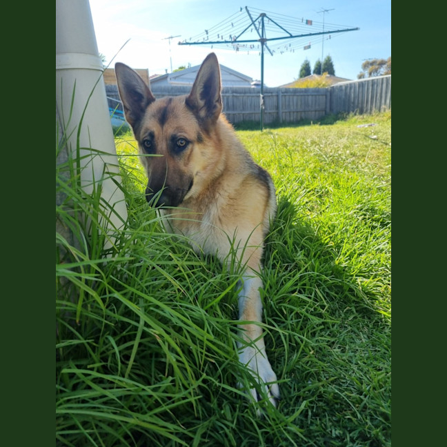 Photo of Storm