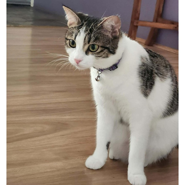 Photo of 12351   Sally