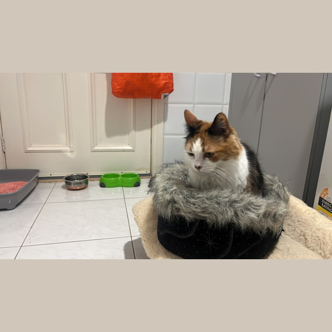 Photo of Miss Sassy Pants