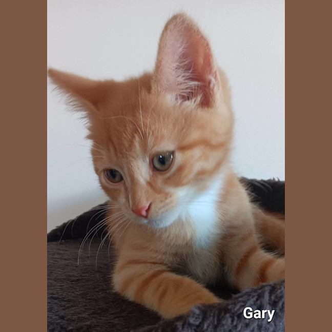 Photo of Gary