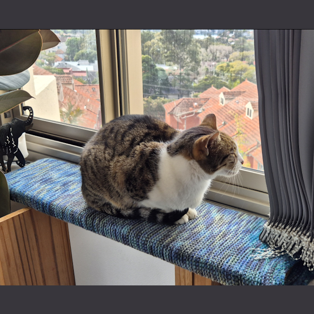 Photo of Tigger