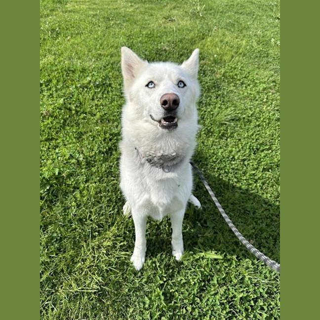 Photo of Bella