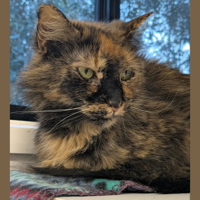 Photo of Belle 