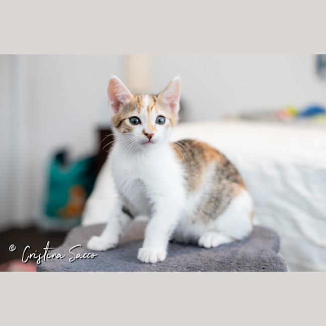 Photo of Squeak
