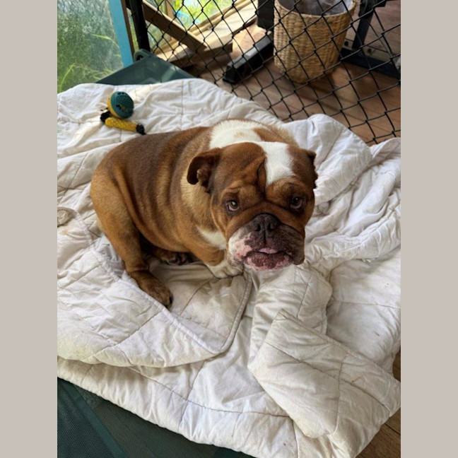 Photo of Sally And Jessie Wensleydale