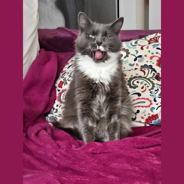 Photo of Evie & Charlotte 