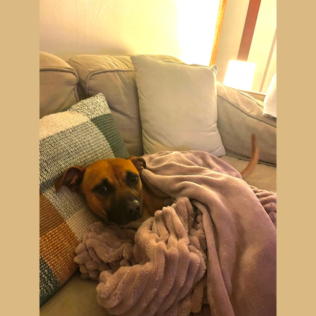 Photo of Arlo
