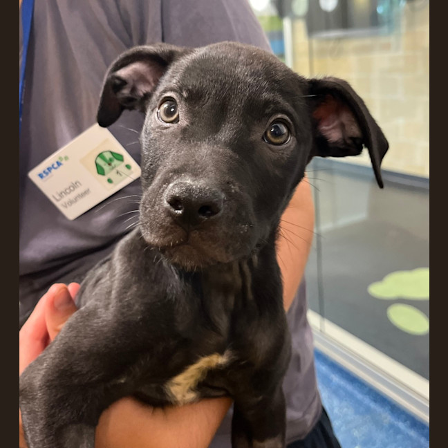 Photo of Storm