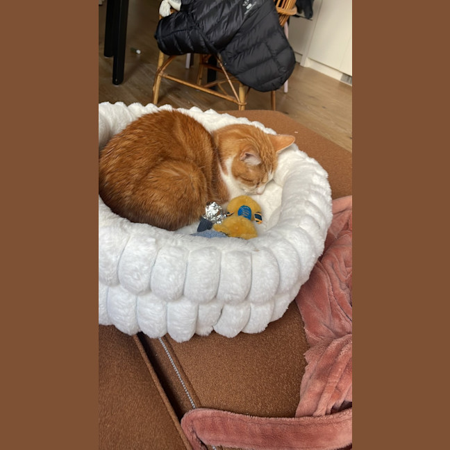 Photo of Bubbles