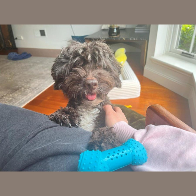 Photo of Bertie Kumara