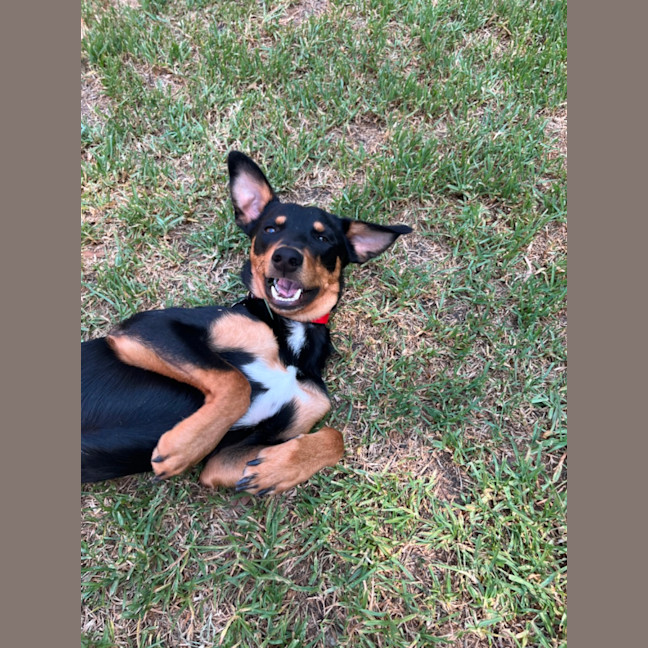 Photo of Melvin