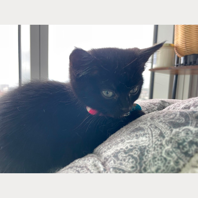 Photo of Bonnie